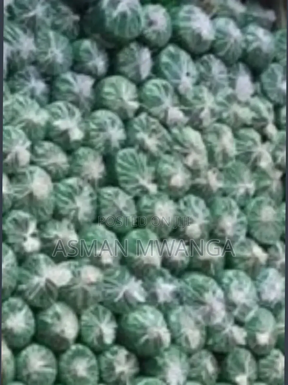Green Scaffolding Protective Net