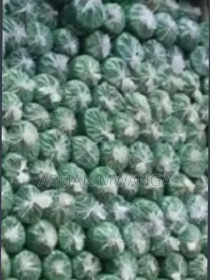 Green Scaffolding Protective Net