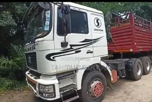 Truck Shacman and Transtrailer