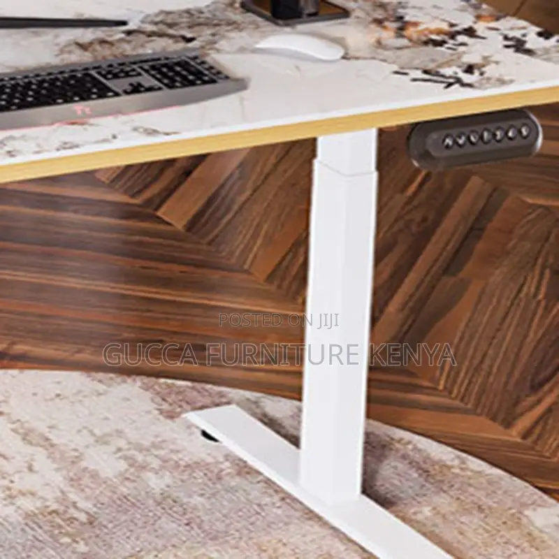 Office Table:120cm Motorized Electric Height Adjustment Desk
