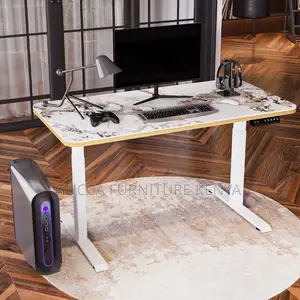 Office Table:120cm Motorized Electric Height Adjustment Desk