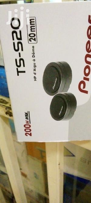 Pioneer TS-S20