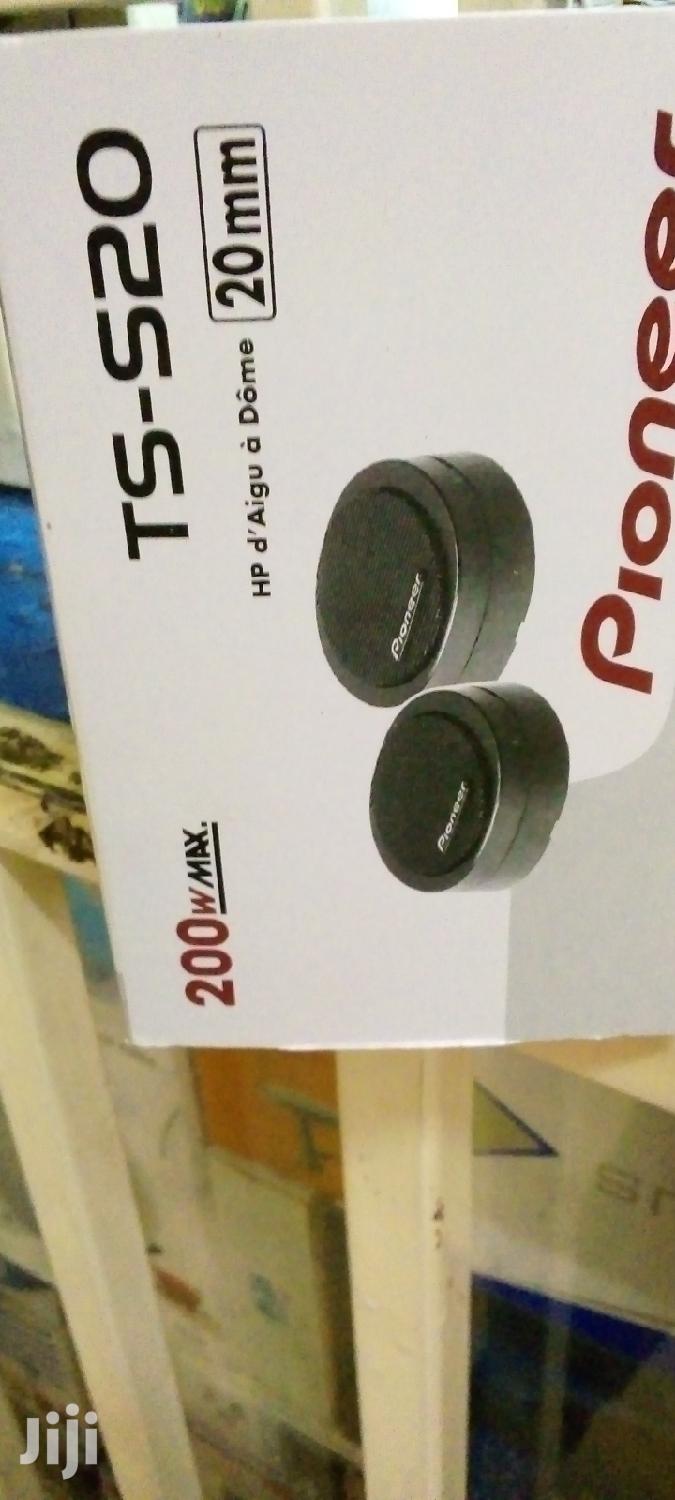 Pioneer TS-S20