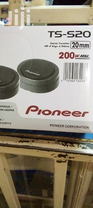 Pioneer TS-S20