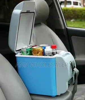 Car Portable Fridge