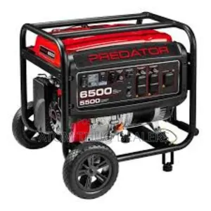 Premier Petrol Generator