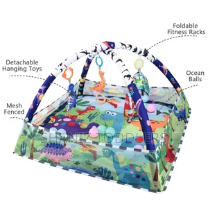 Baby Gym Playmat