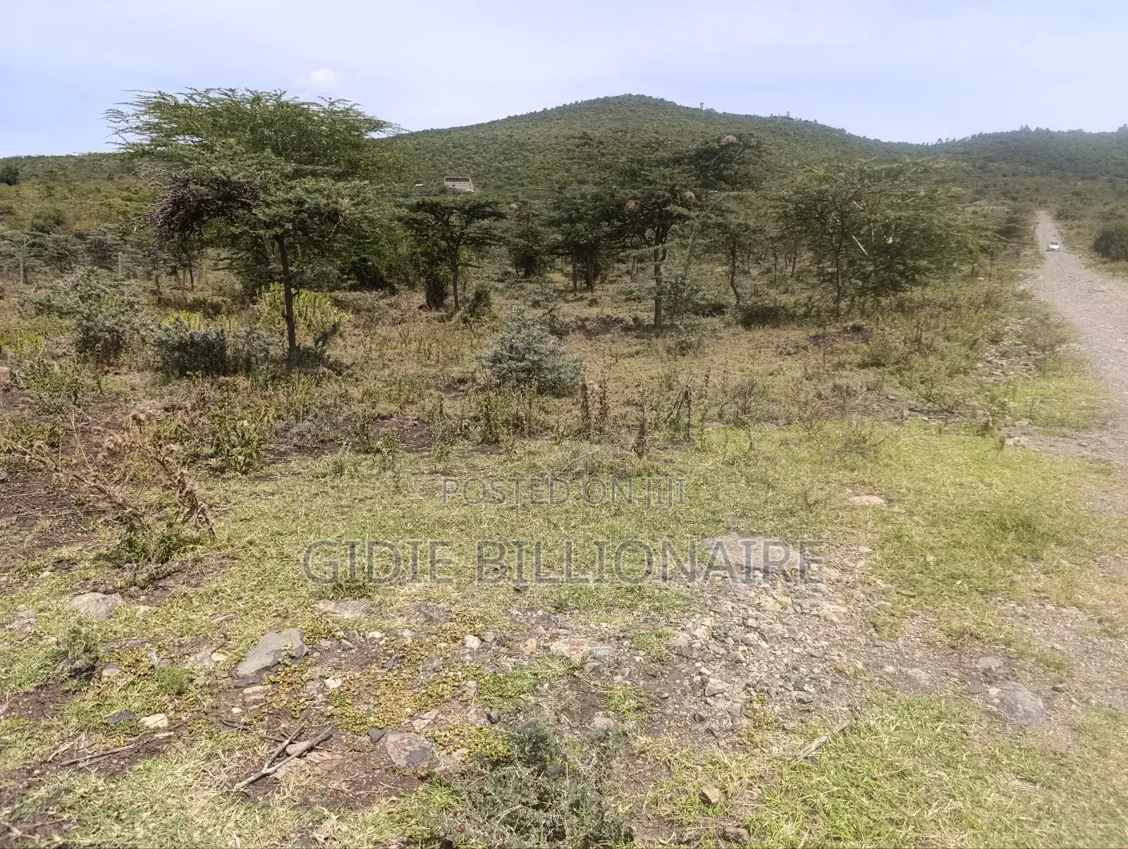 50×100 Plot for Sale in Ngong Kibiku