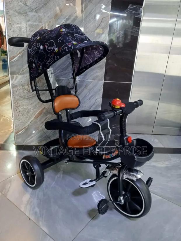 Push Tricycle With Detachable Handle/Canopy - main view
