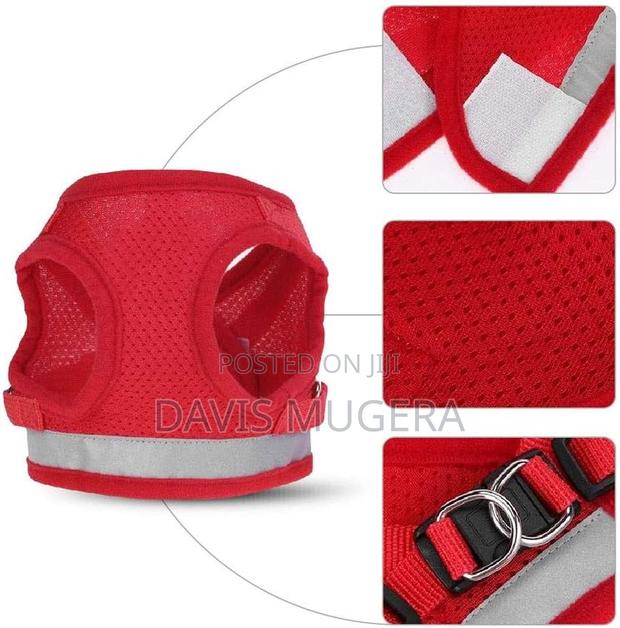 Dog Leash Vest Safety Adjustable Dog Harness Small Medium - thumbnail 3