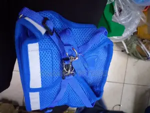 Adjustable Reflective Vest Harness for Puppies, Small Dogs