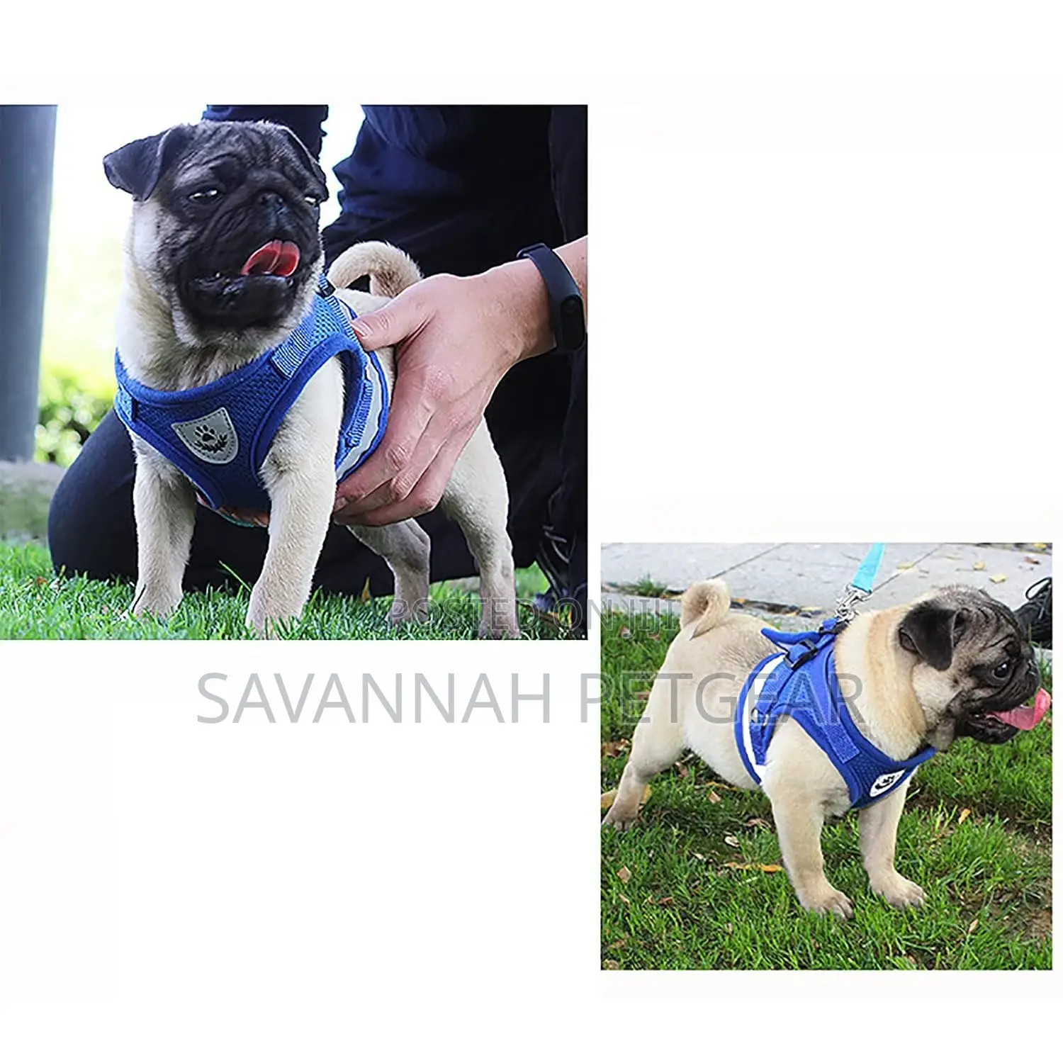 Adjustable Reflective Vest Harness for Puppies, Small Dogs