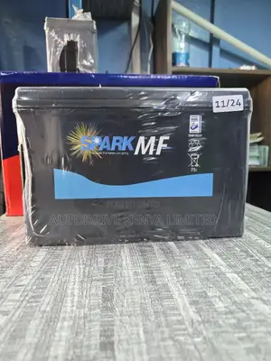 N70R Spark Car Battery