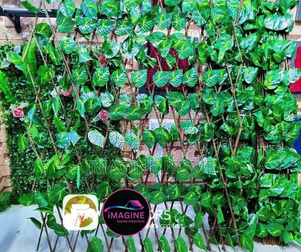 Expandable Green Light Fences - main view