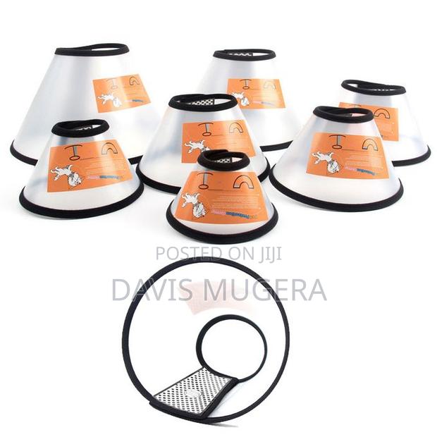 Pet Protective Dog Collar Neck Cone Recovery Cone Collar - thumbnail 3
