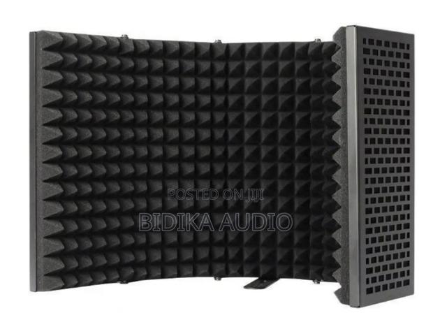 Microphone Isolation Shield