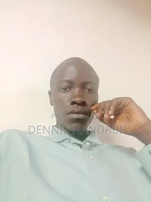 Mr Dennis Nandabi