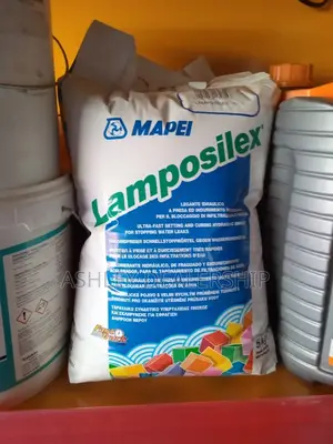 Lamposilex