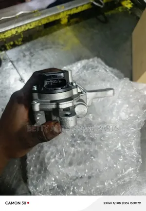 Toyota Prado Actuator
