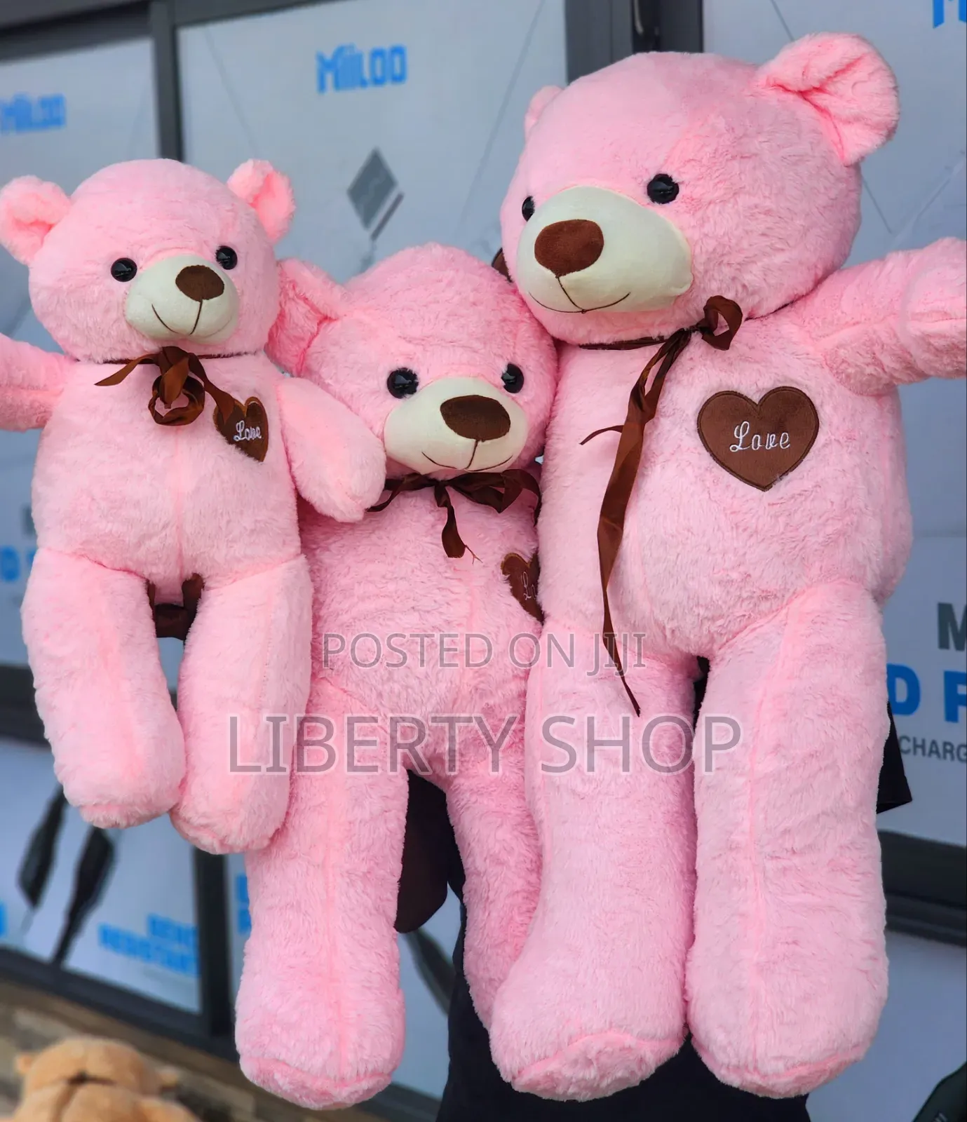 Teddy Bear
