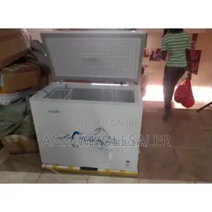 Demacated 169litres Icecool Freezer
