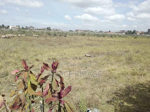 Ngomeni Front Beach Land for Sale - thumbnail 6
