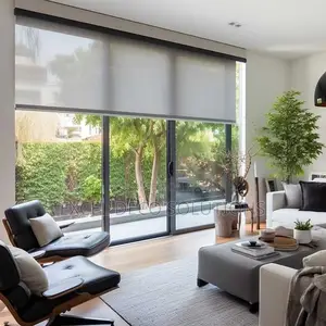 Let the Light in on Your Terms- Sunscreen Roller Blinds