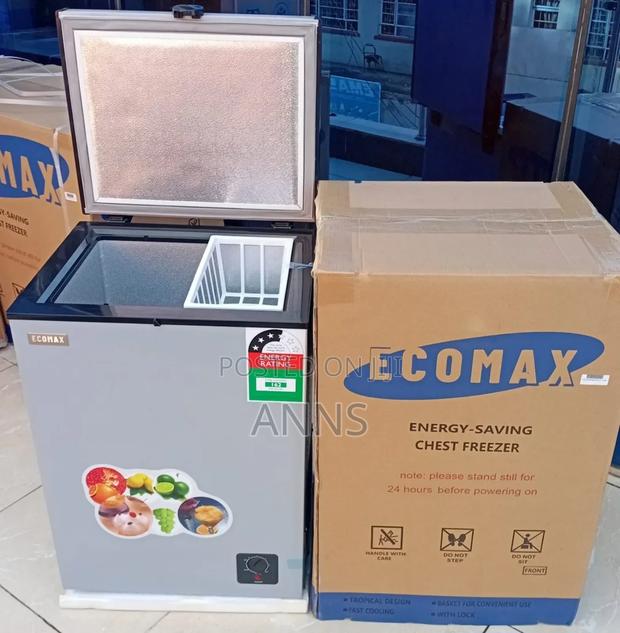 Ecomax 109L ~ Silver Deep Freezer - main view
