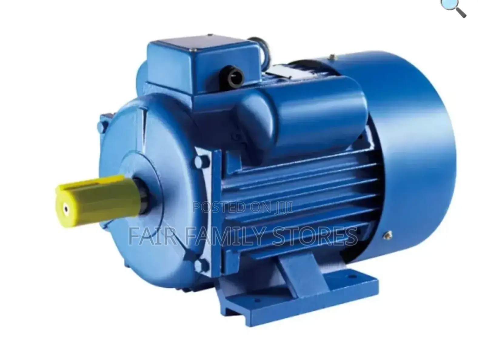 LOW/HIGH Electric Motor