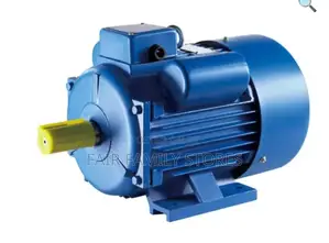 LOW/HIGH Electric Motor