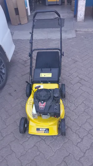 Gasoline  Lawnmower (WASP) 4.0HP