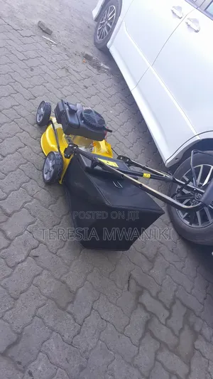 Gasoline  Lawnmower (WASP) 4.0HP