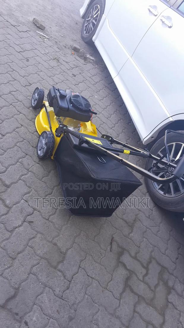 Gasoline  Lawnmower (WASP) 4.0HP - thumbnail 3