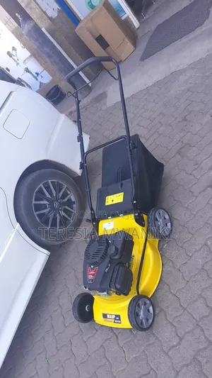 Gasoline  Lawnmower (WASP) 4.0HP
