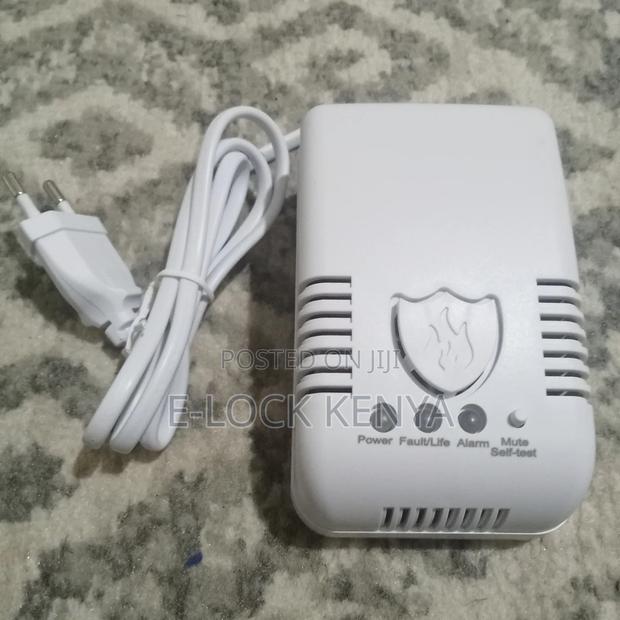 Instant Gas Leak Detection Kit