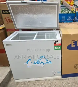New Ecomax Deep Chest Freezer -169