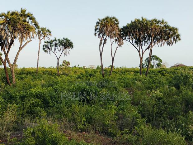 4.5 Acre Second Row Beach Property - thumbnail 4