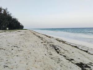 4.5 Acre Second Row Beach Property - main view