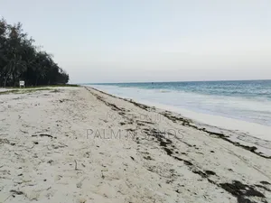 4.5 Acre Second Row Beach Property