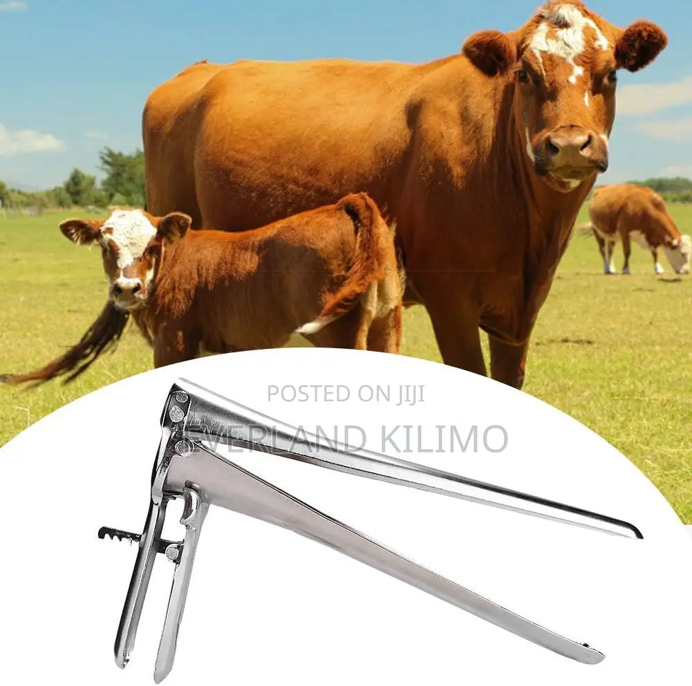 Stainless Stain Vaginal Speculum,