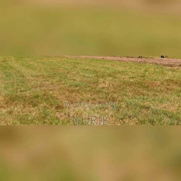 Garden Estate1/2acre - thumbnail 3