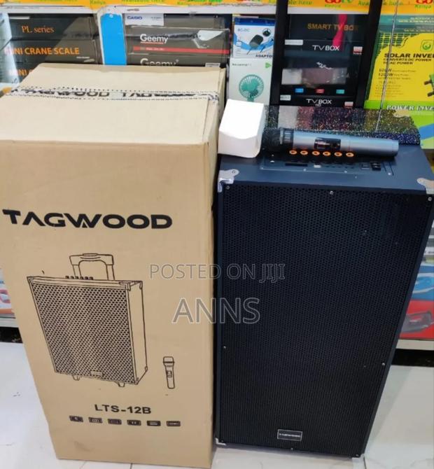 Advanced Rechargeable 12 " Tagwood Speaker System With Mic - main view