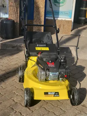 Wasp Lawn Mower 4hp WSP1840