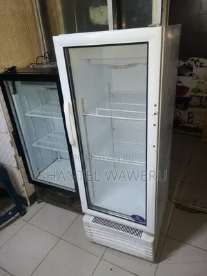 Best Medium Display Fridge