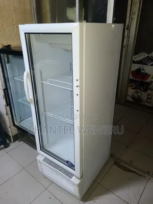 Best Medium Display Fridge