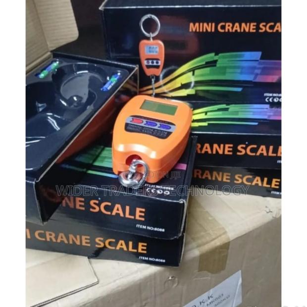 200kg Mini Crane Scale - main view