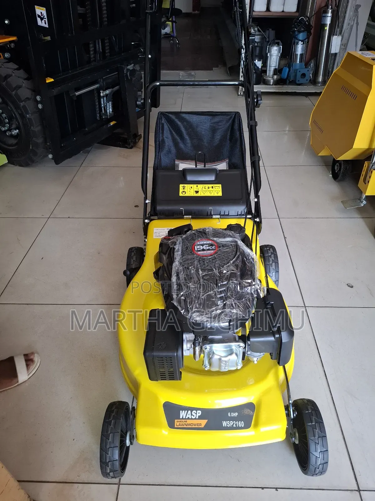 Lawn Mower Wasp