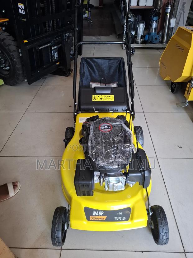 Lawn Mower Wasp