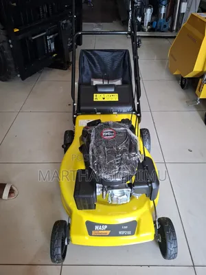 Lawn Mower Wasp