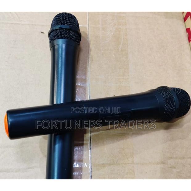 Wireless Microphone - main view